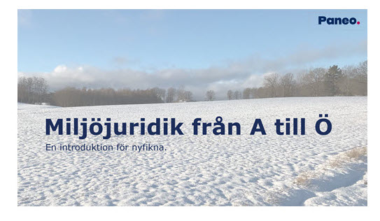 en å med vatten som strömmar så det bildas skum, runt stränderna finns barrträd och grönskande lövträd.